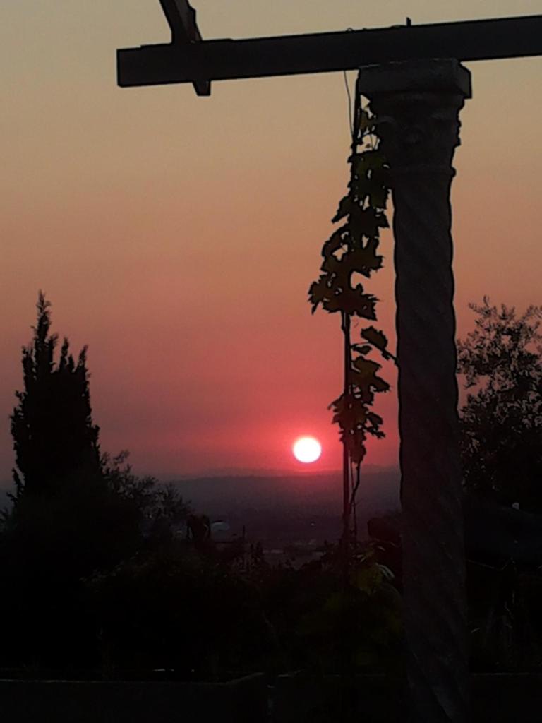 La Corte di Nonno