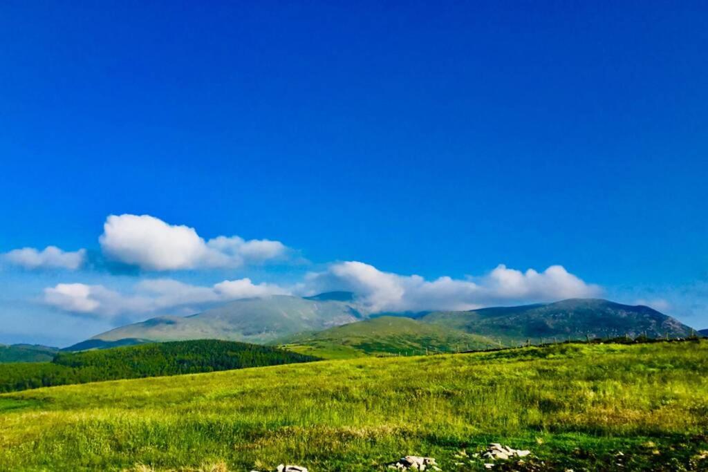 Tollymore Luxury Log Cabin (Kilcoo)