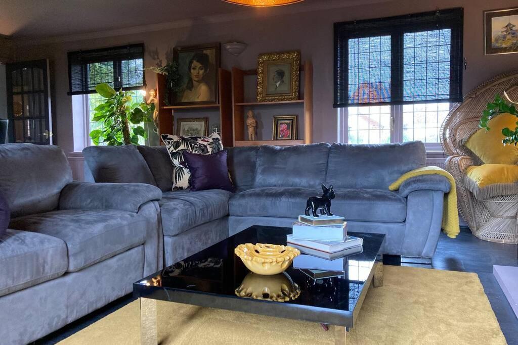 Hip & Stylish House