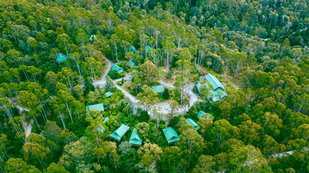 Lemonthyme Wilderness Retreat (Moina)