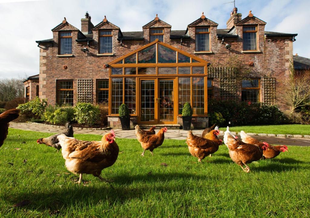 Blackwell House (Banbridge)