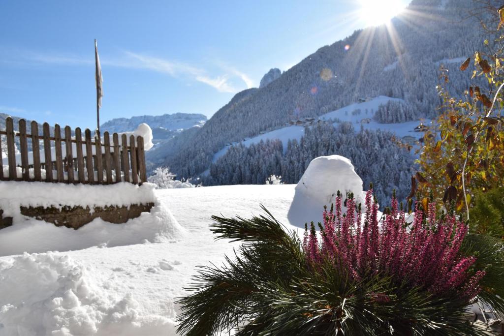 Sule Hof Agriturismo