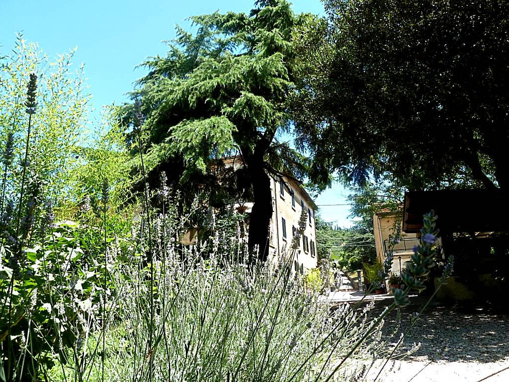 B&B Gabri