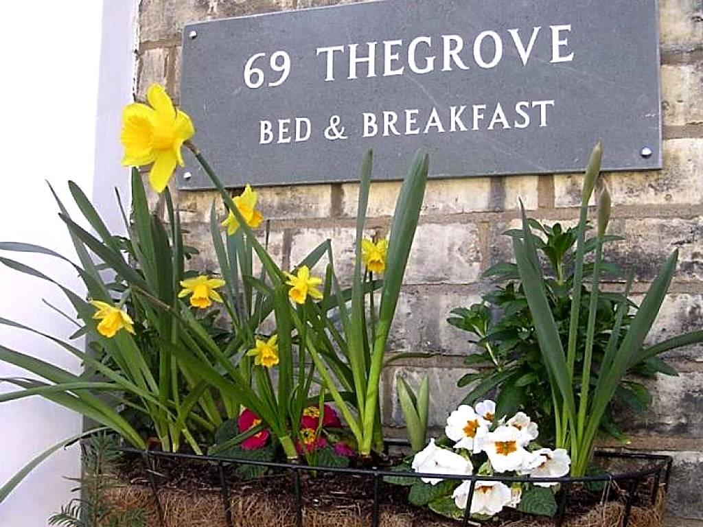 69TheGrove