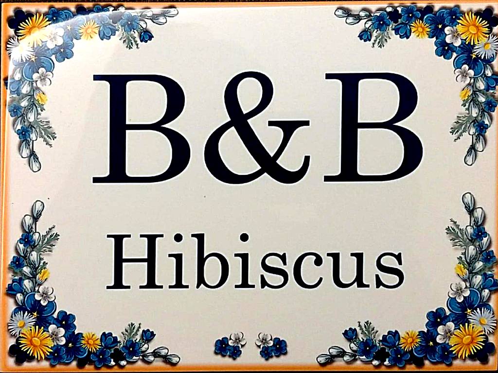 B&B Hibiscus