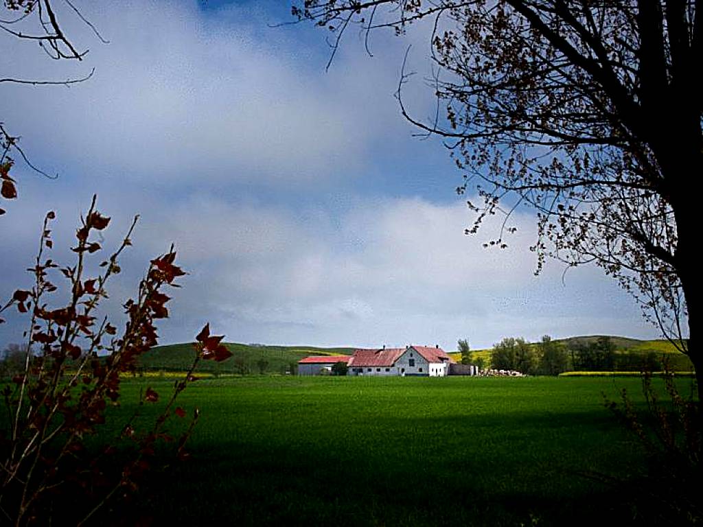 Bed & Breakfast Vinkille (Löderup)