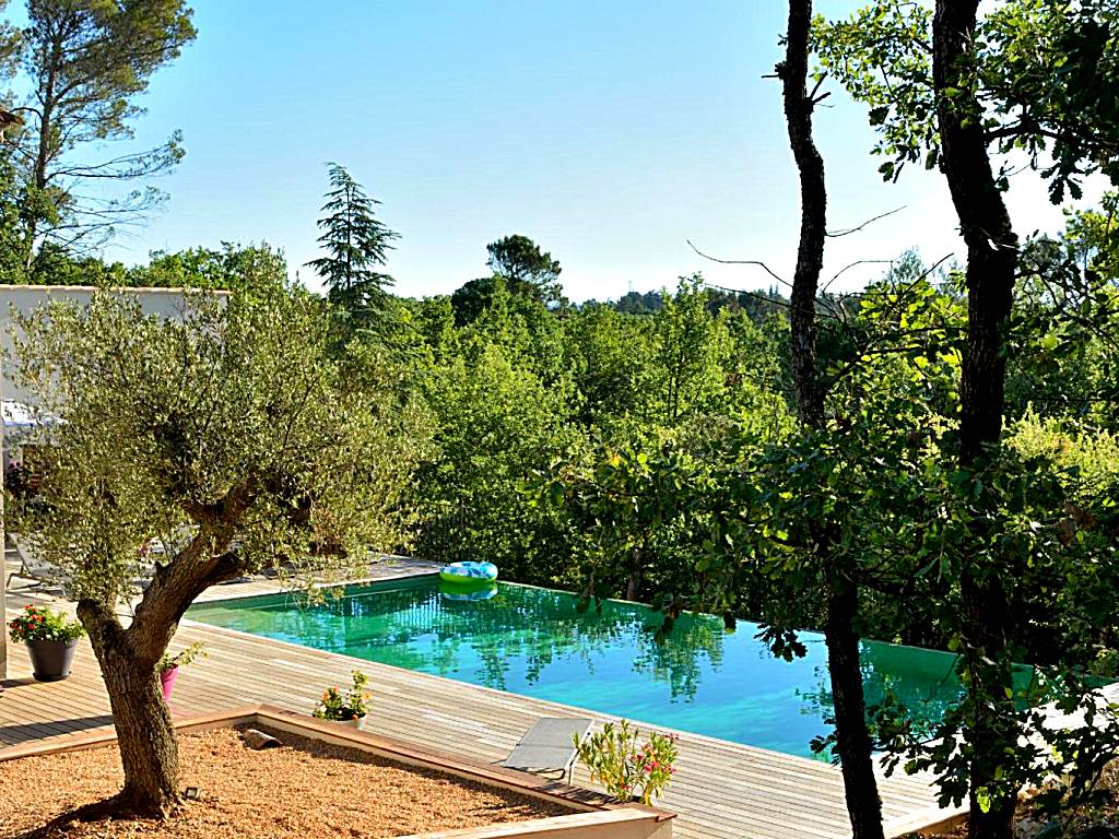 Sous Les oliviers - Piscine chauffée à débordement - Charming (Saint-Maximin-la-Sainte-Baume)