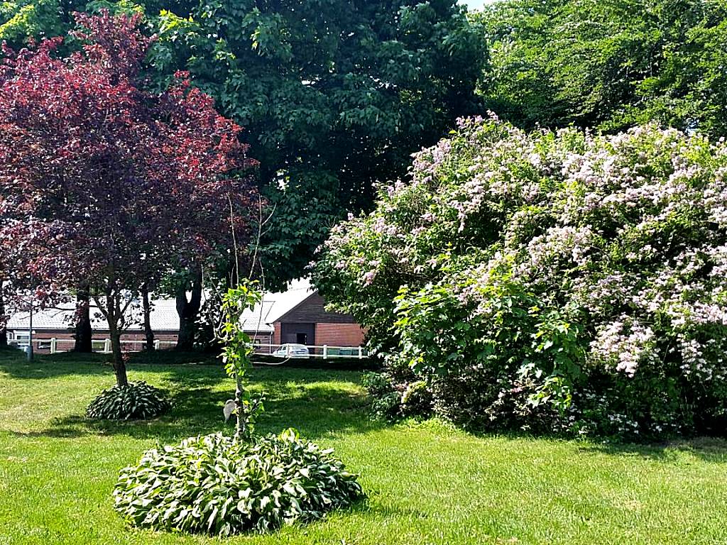 Billund Farm Holiday (Billund)