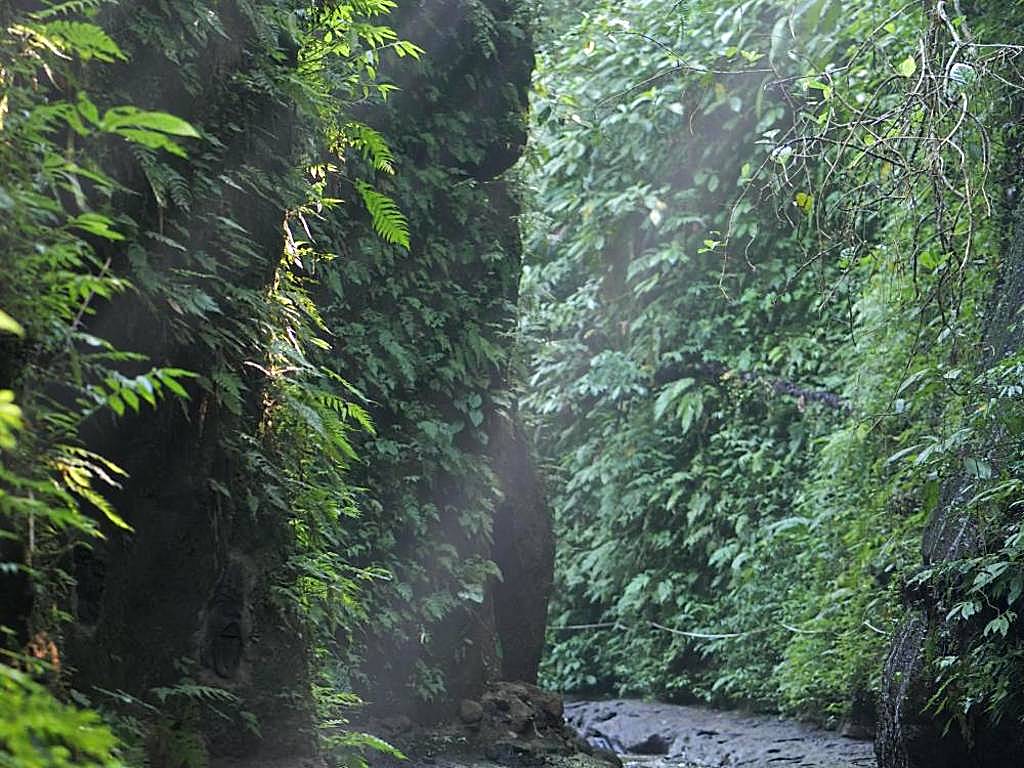 Pramana Giri Kusuma (Payangan) 