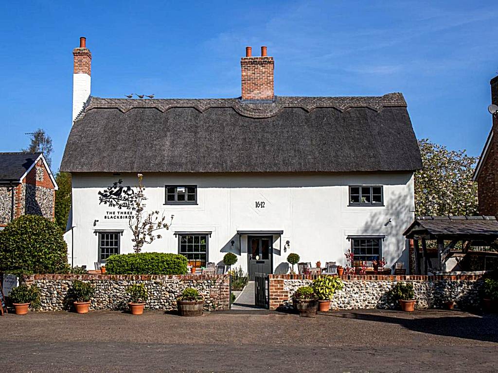 The Three Blackbirds (Stetchworth)