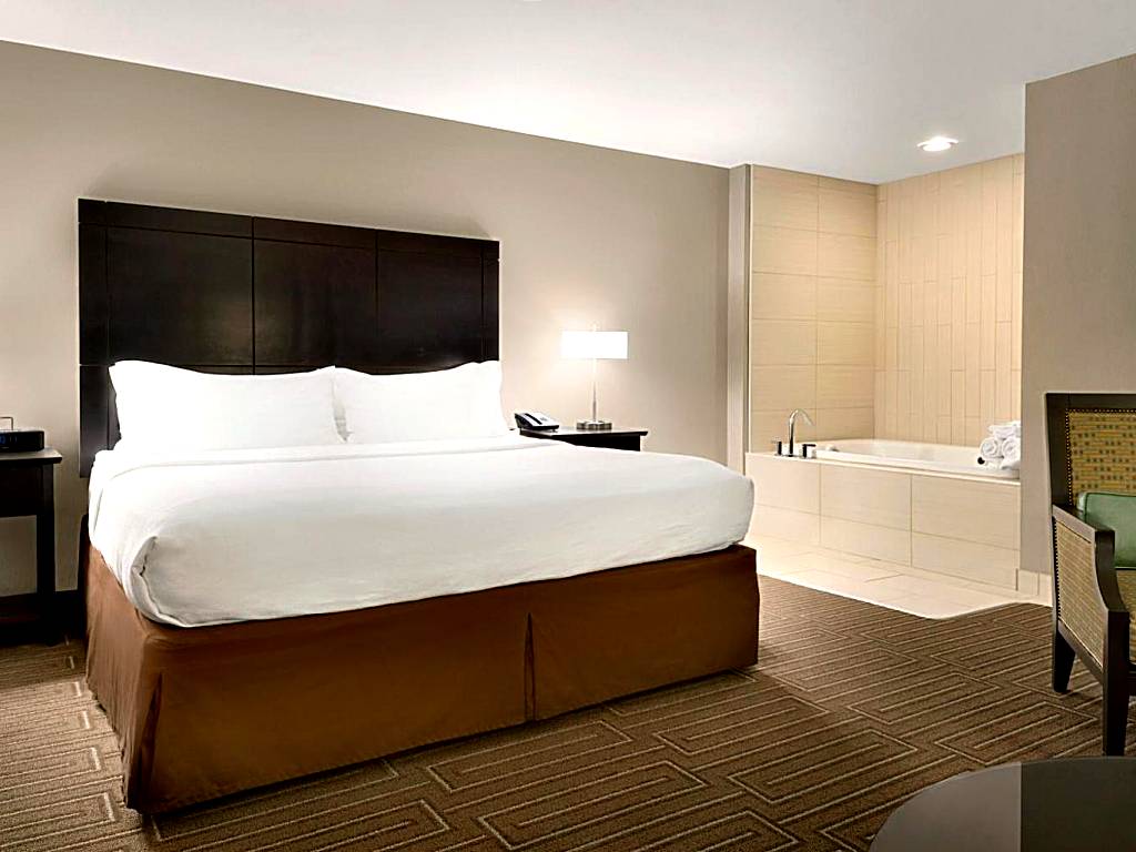 Holiday Inn & Suites Duluth-Downtown: King Suite with Spa Bath