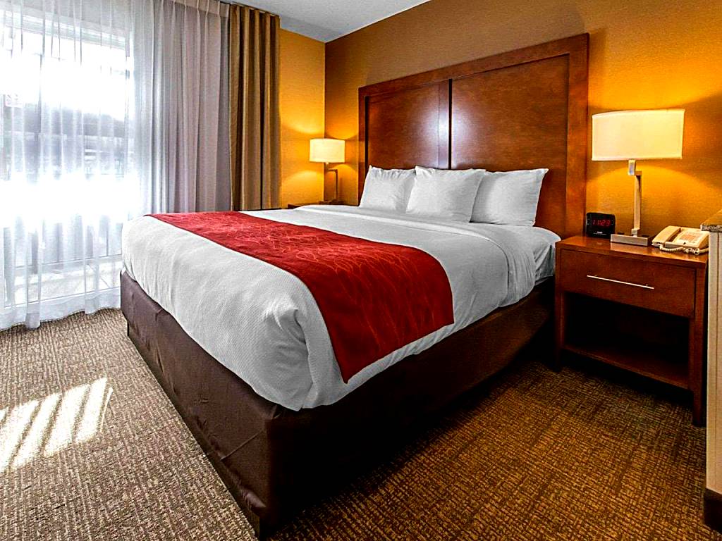 Comfort Inn & Suites Erie: Executive King Suite with Whirlpool - Non-Smoking