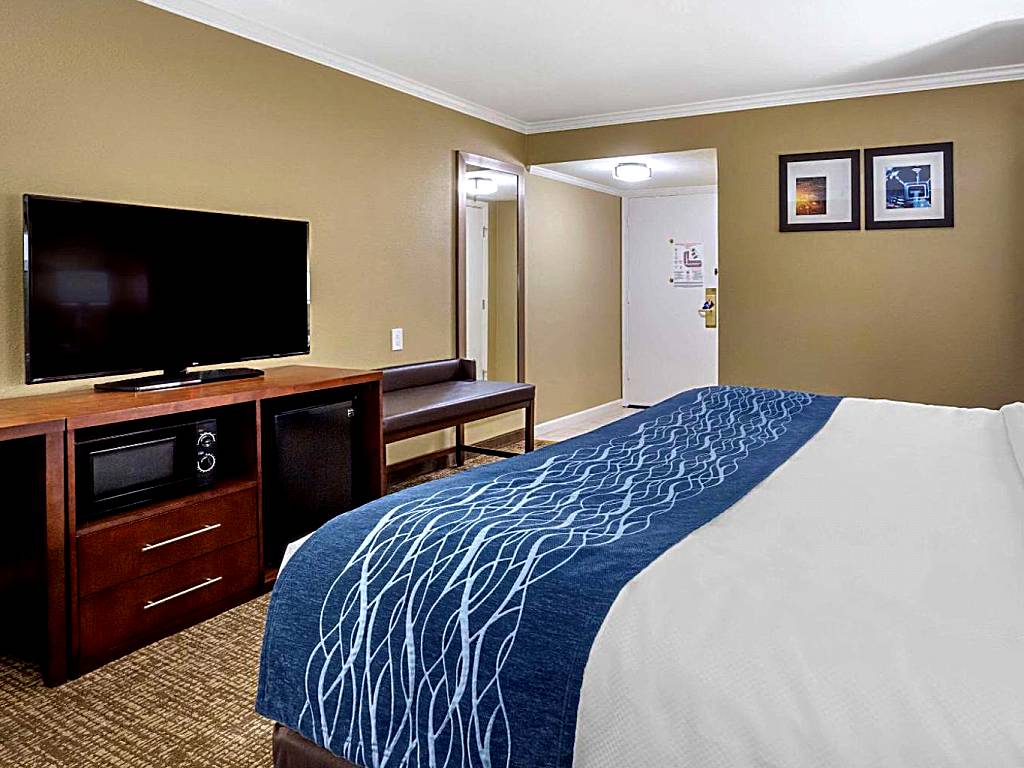 Comfort Inn Sunnyvale – Silicon Valley: Deluxe Room, 1 King Bed with Whirlpool, Non Smoking (Sunnyvale)