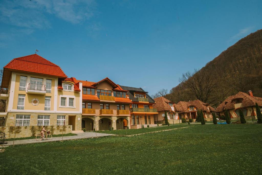 Chervona Ruta
