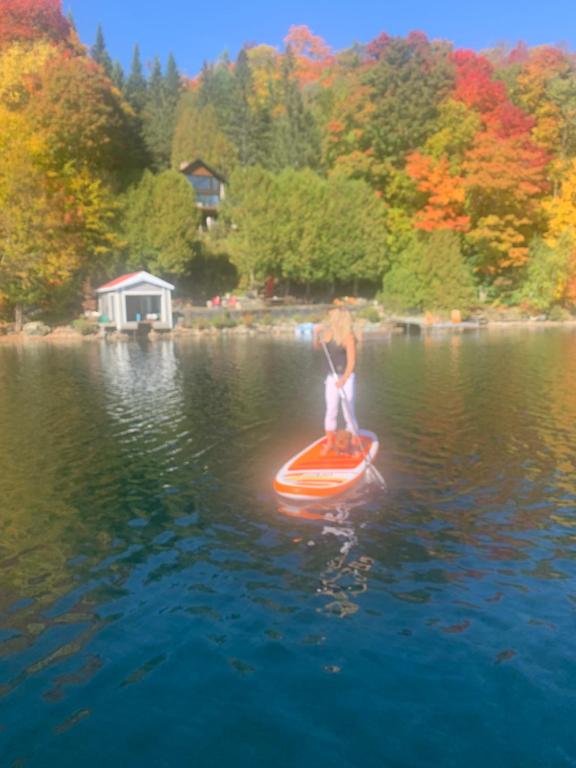 Chalet bord de l'eau