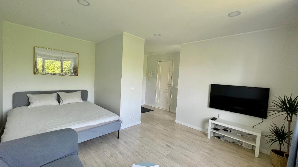 Studio apartment 2