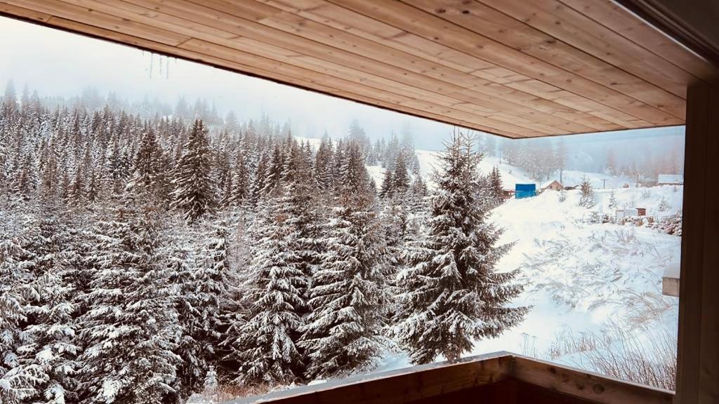 NORDIC Apartamente Păltiniș