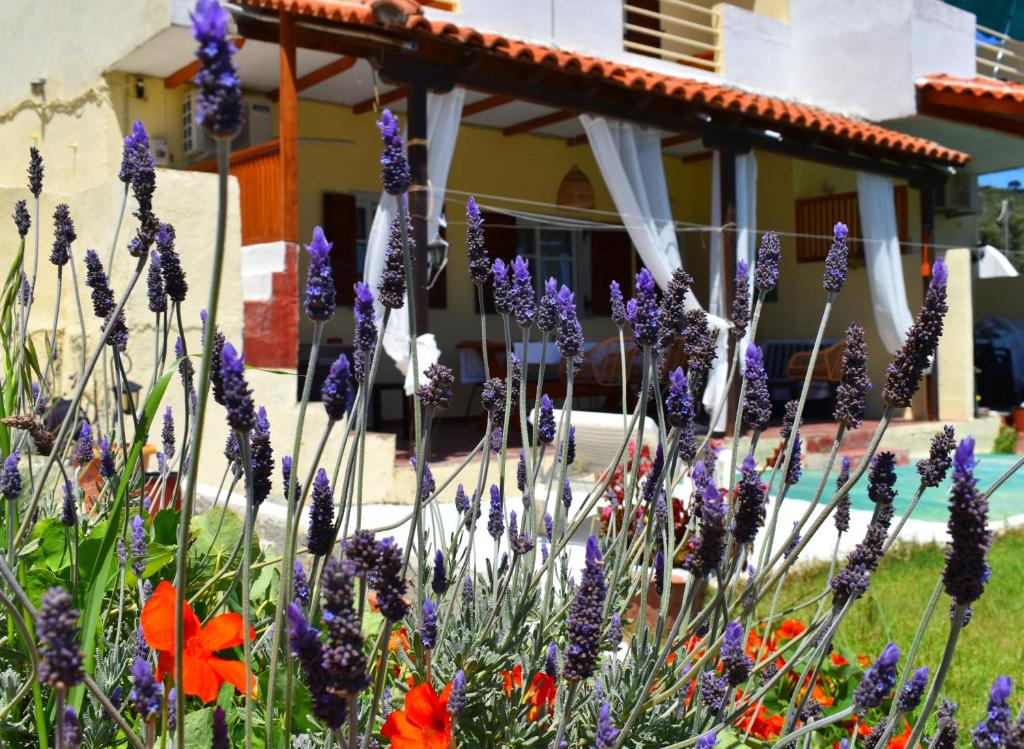 Villa Krini