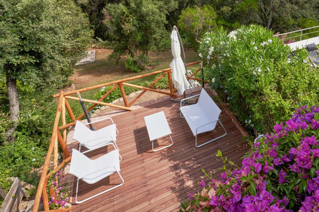 [Cottage Punta Ala] Residential Area with Pool