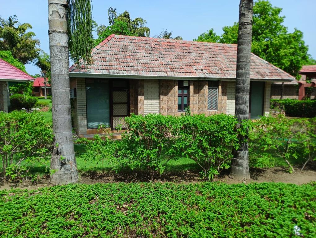 Krsn's Hari Abode - By Nitya Eco Living
