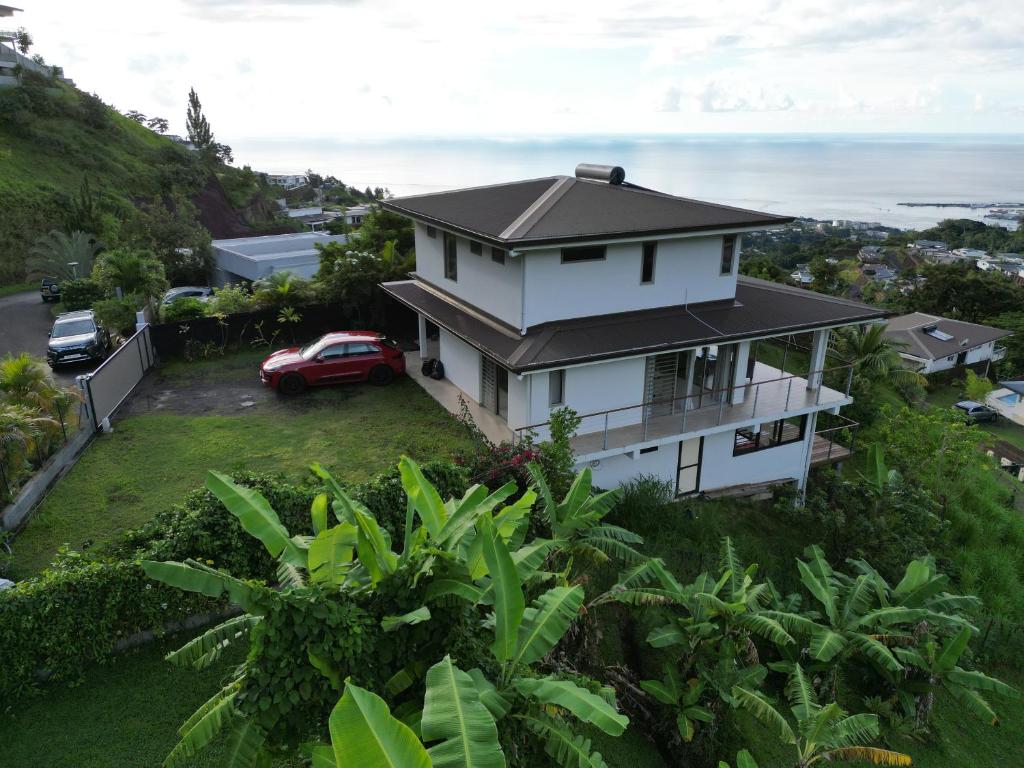 Manapiti on the hill