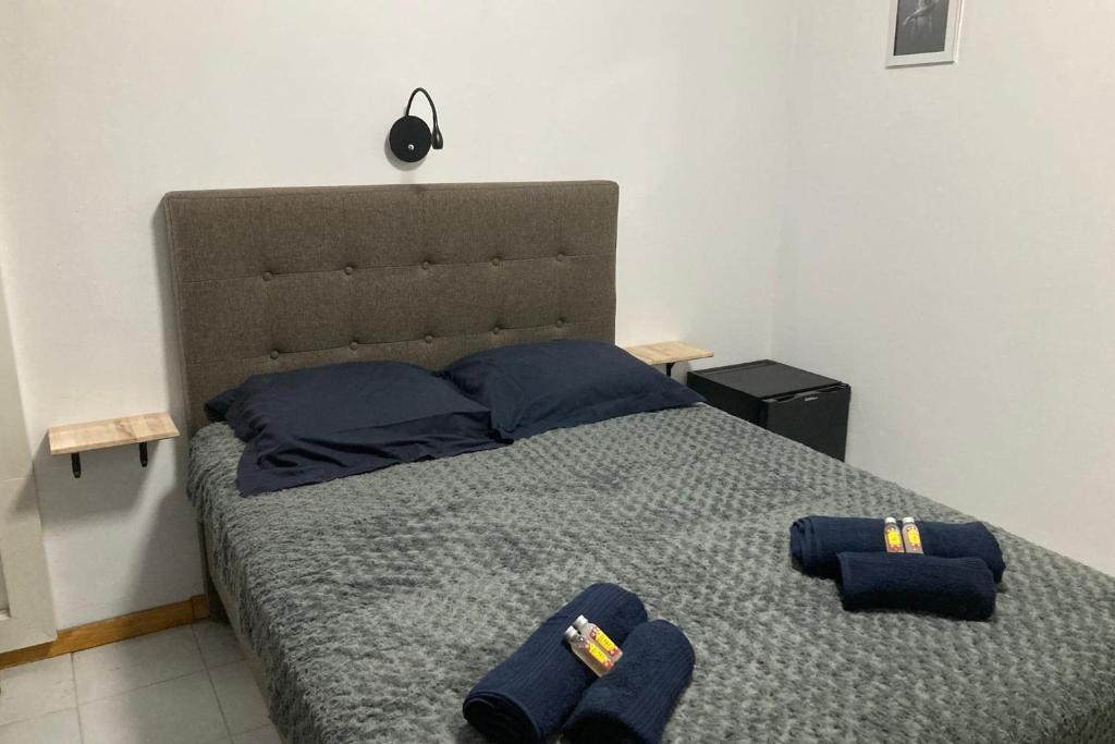 "Hibiscus" city center room